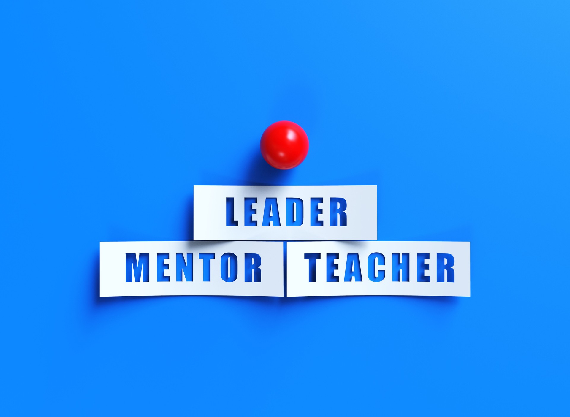 Leader,Mentor,Teacher